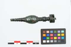Foto von Bronzenadelspitzenschoner (NHMW-PRAE-025833)